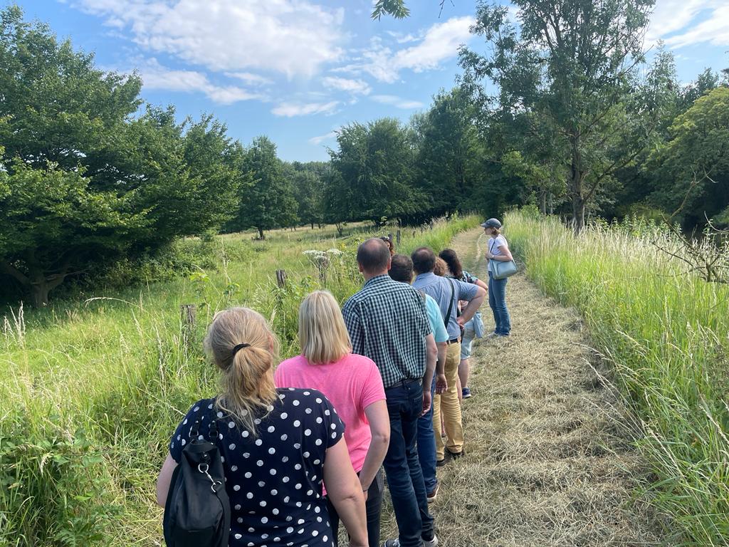 Kräuterwanderung im Himmelgeister Rheinbogen – Wildkräuter am Rhein entdecken